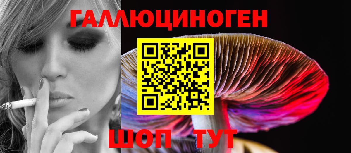 закладки  Вход с VPN  Югорск  Галлюциногенные грибы Psilocybe 